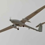 Dilemma of Rise in Populations of Drones