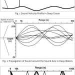 Impact of Biological Noise on Sonar Performance in the IOR