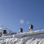 Siachen Glacier: Battling on the roof of the world