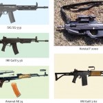 Empowered Committee – evaluating rifles, carbines?