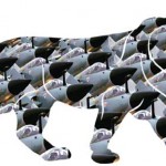 Self Reliance in Defence Production: A Mirage
